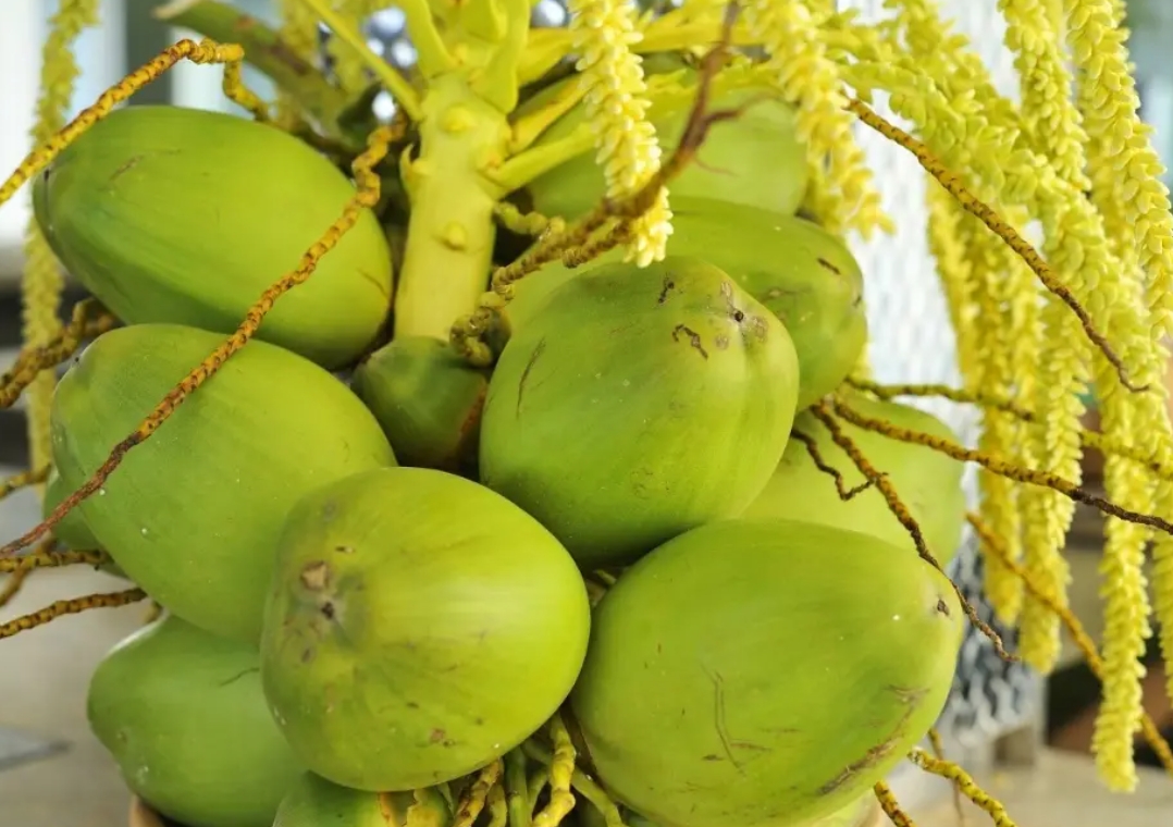 1749803153711207.png 微信截圖_20250613153124.png