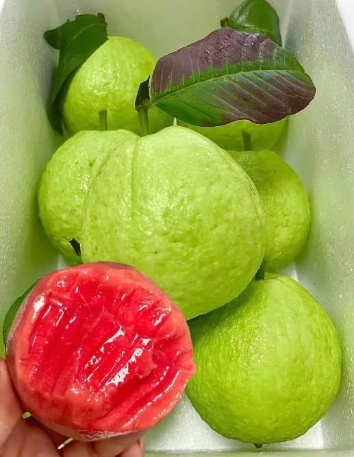 1749804184296013.png 微信截圖_20250613155509.png