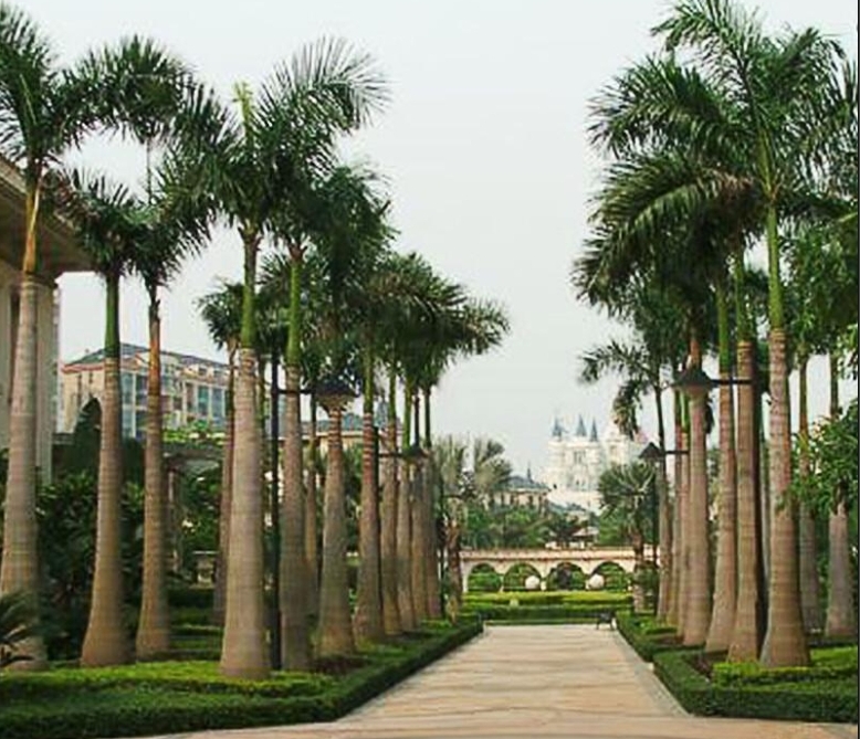 1750151903752617.png 微信截圖_20250617164143.png