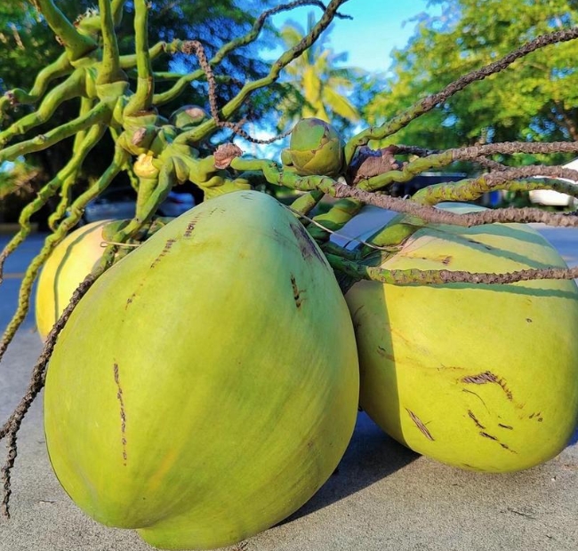 1751012123973608.png 微(wēi)信截圖_20250627152853.png