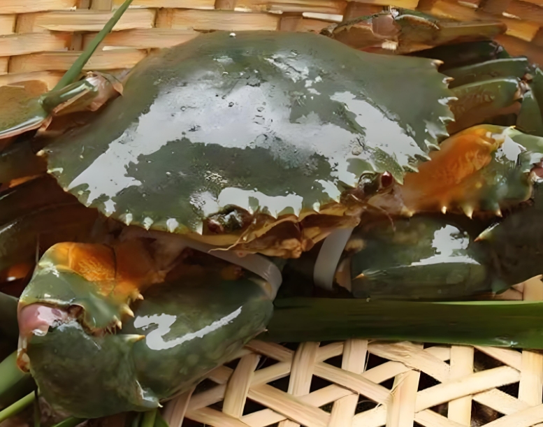 1751527926701573.png 微信截圖_20250703113217.png