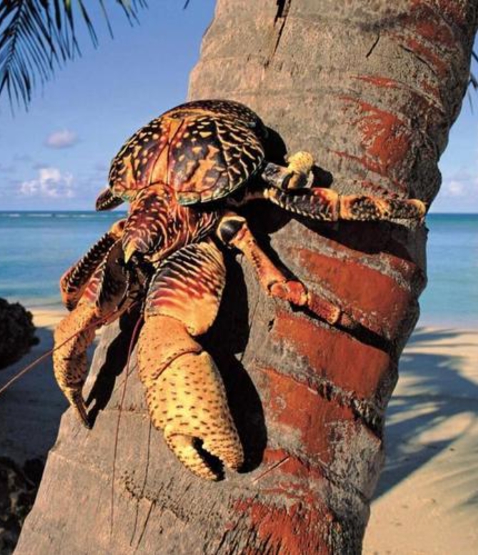 1751875638848671.png 微信截圖(tú)_20250707145210.png