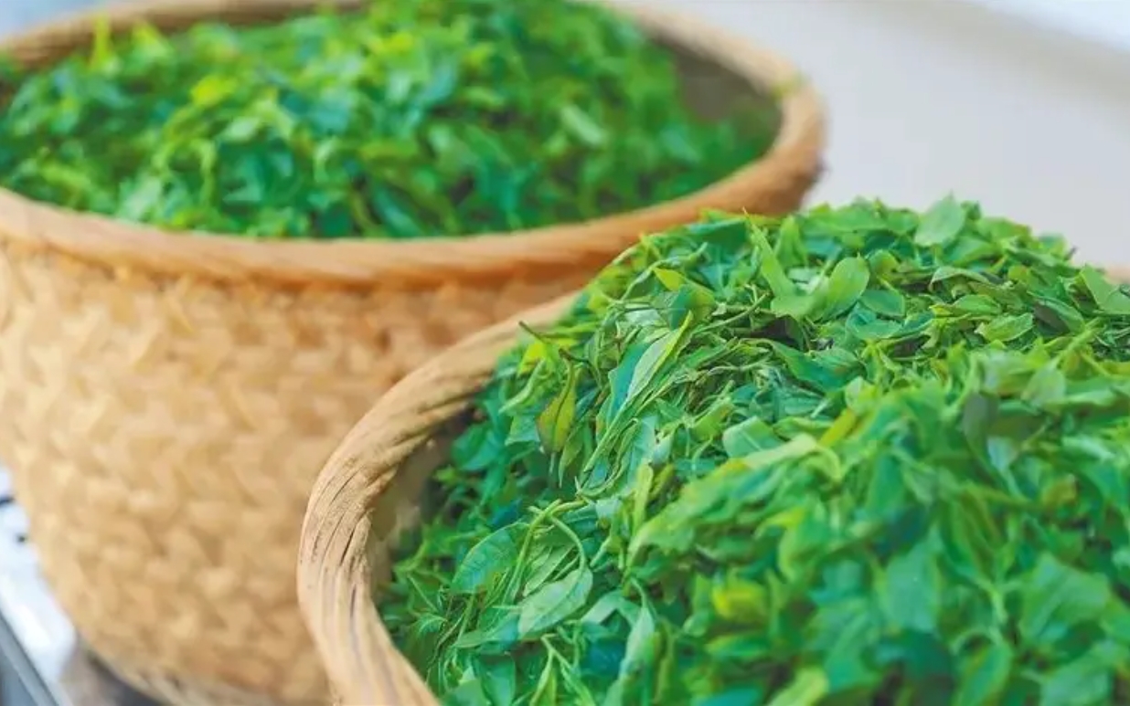 1751964958798811.png 微信截圖_20250708160104.png