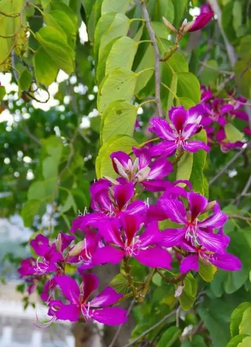 1752048654261540.png 微信截圖_20250709150924.png