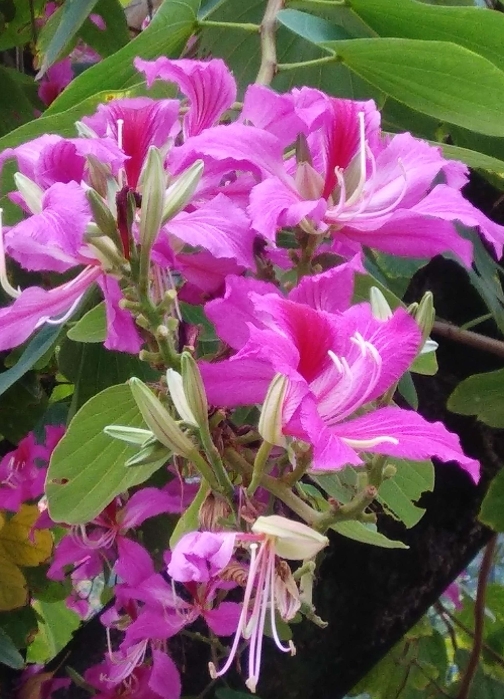 1752048663313466.png 微信截圖_20250709151348.png