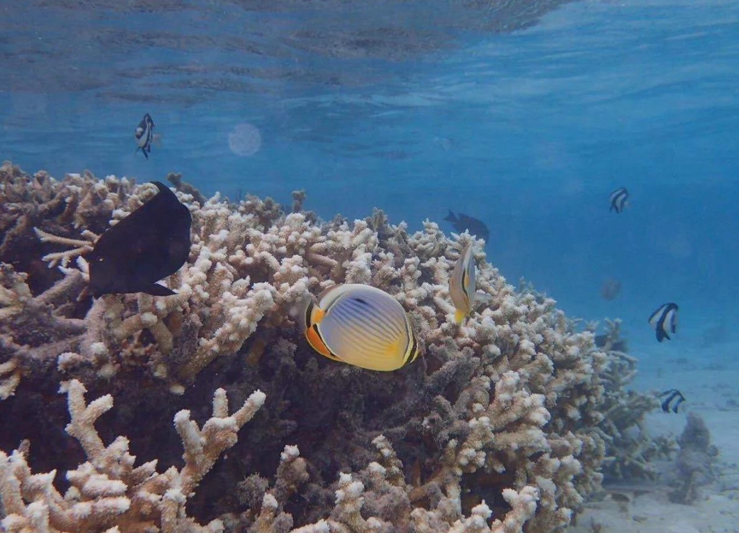 1752049763831788.png 微信截圖_20250709155746.png