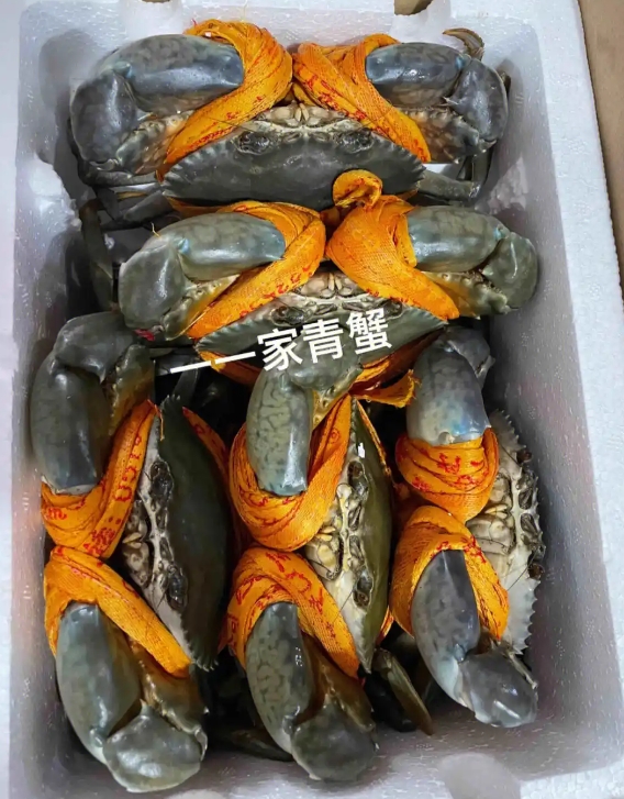 1752223614697045.png 微信截圖_20250711153124.png