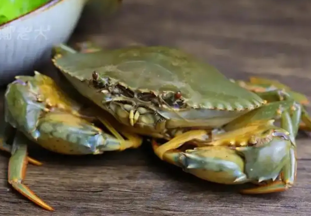 1752223628989870.png 微信截圖_20250711152557.png