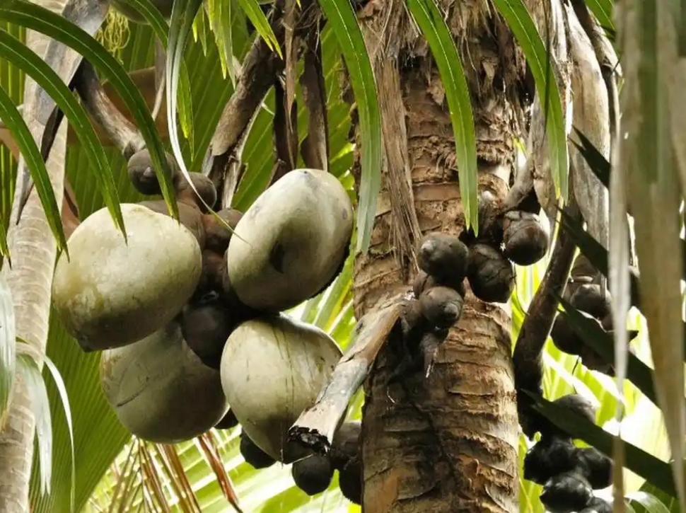 1752481363403239.png 微(wēi)信截圖_20250711164029.png