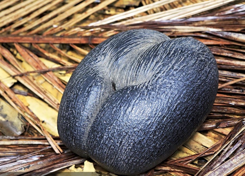 1752481369695059.png 微(wēi)信截圖_20250711164127.png