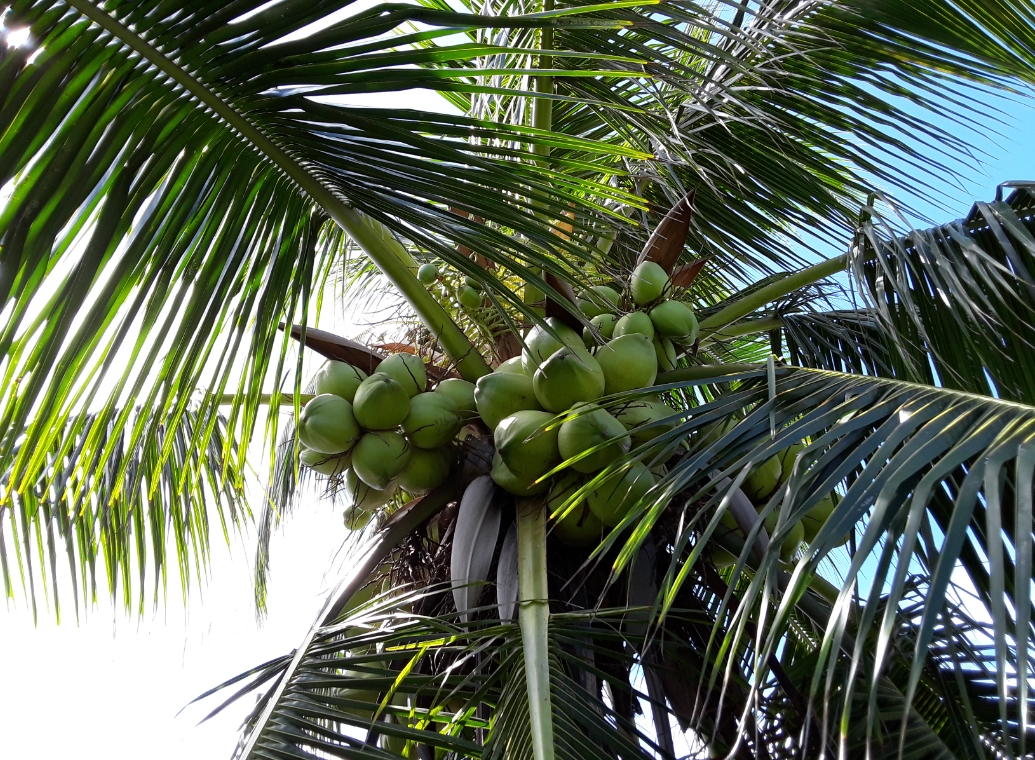 1752742740606092.png 微信截圖_20250717160050.png