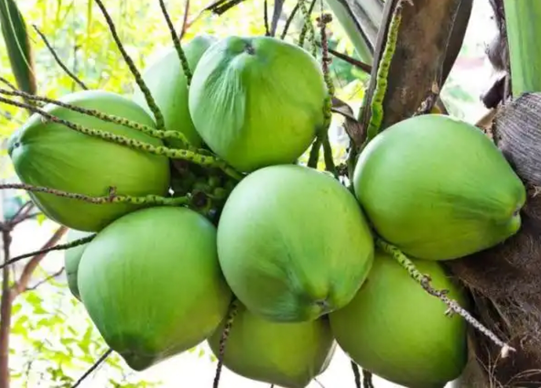 1752743758129510.png 微信(xìn)截圖_20250717163005.png