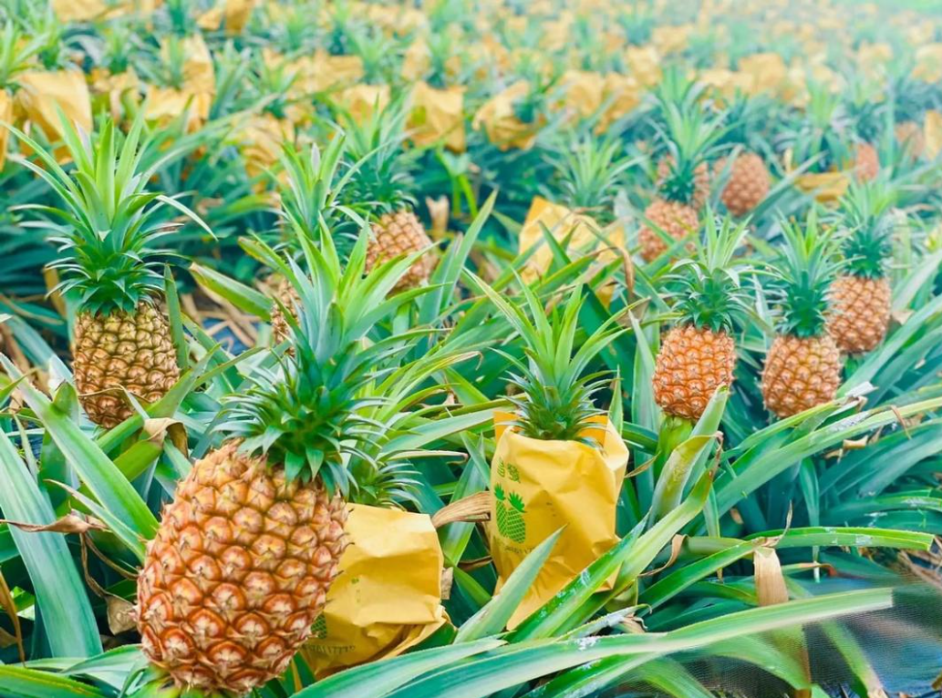 1753433731501291.png wechat_2025-07-25_162749_438.png