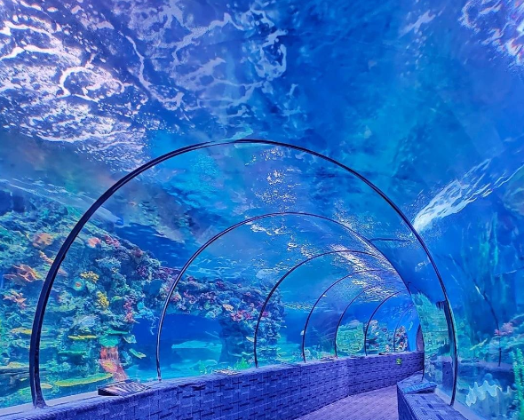 1753694092428474.png wechat_2025-07-28_170458_025.png