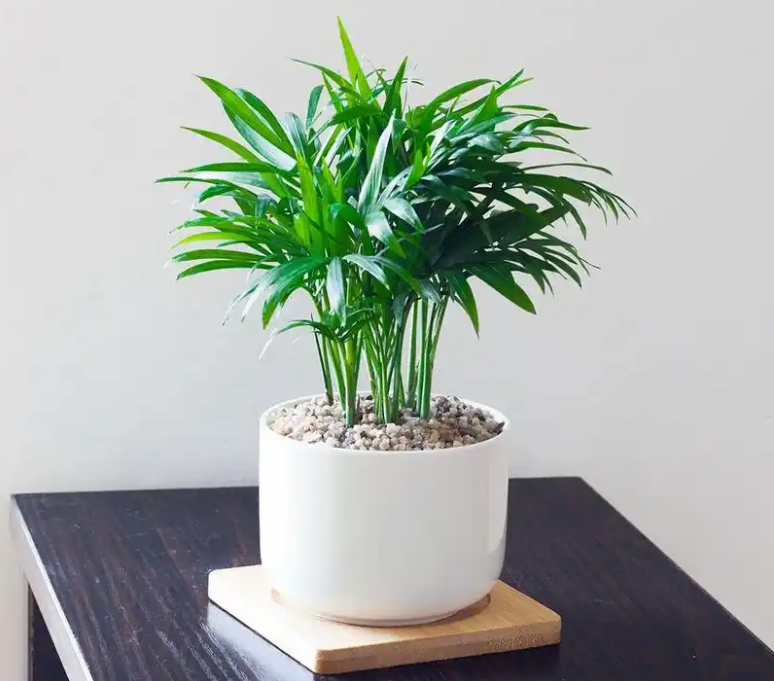 1754380449602697.png wechat_2025-08-04_165938_441.png