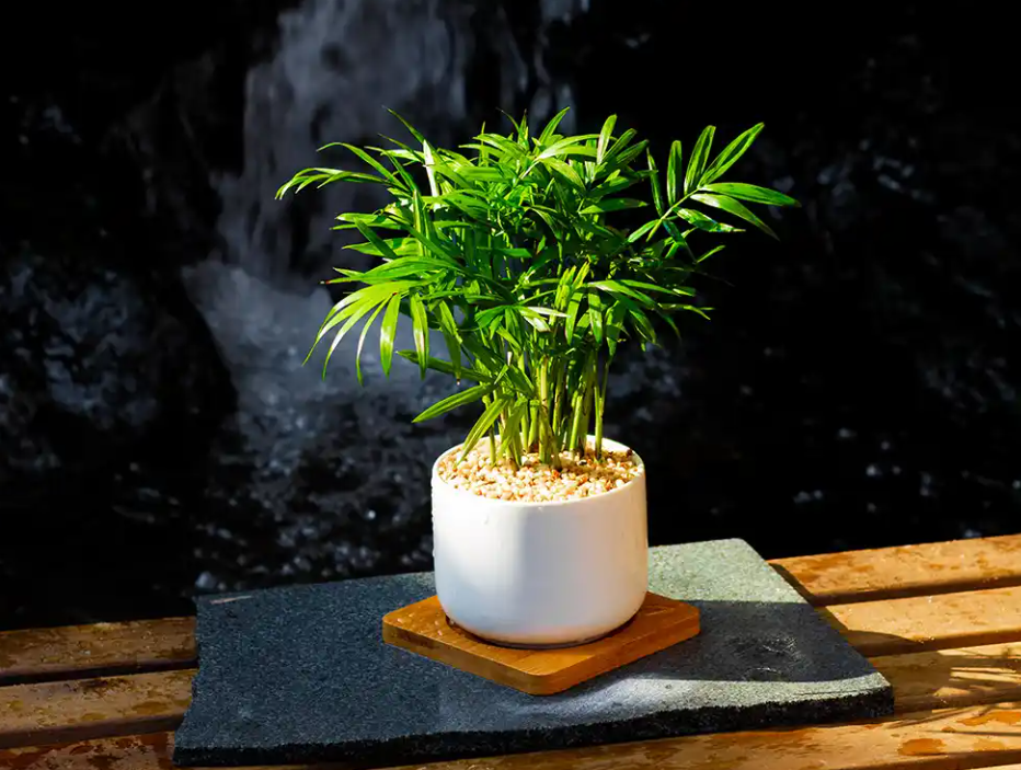 1754380460281119.png wechat_2025-08-04_170045_259.png