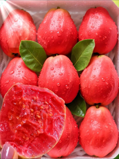 1755243367764044.png wechat_2025-08-07_151908_133.png