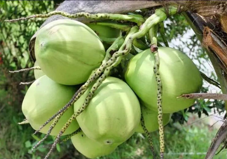 1756109634755761.png wechat_2025-08-19_153931_196.png