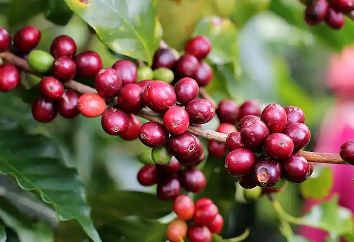 1756110172291652.png wechat_2025-08-19_160853_718.png