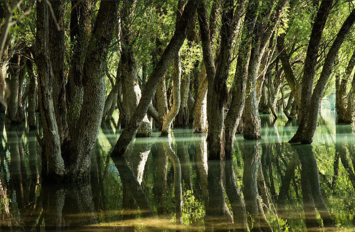 1756196336228631.png wechat_2025-08-21_153734_253.png