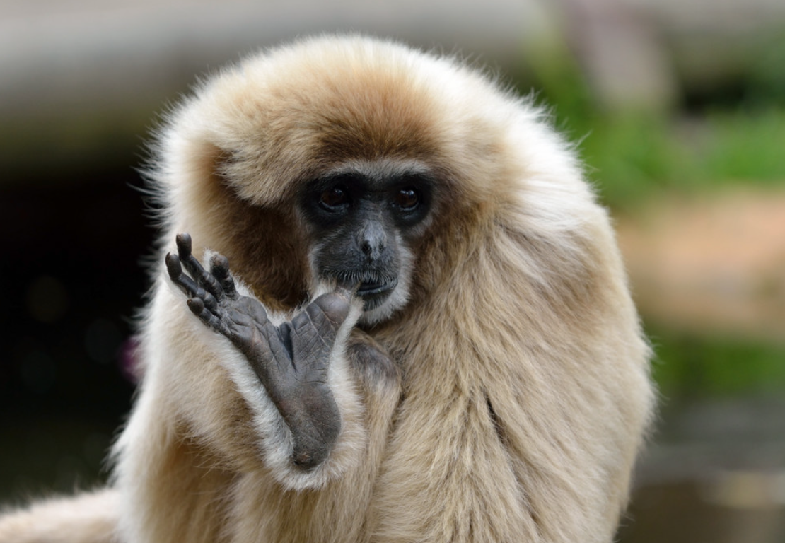 1756196347477505.png wechat_2025-08-21_154414_021.png