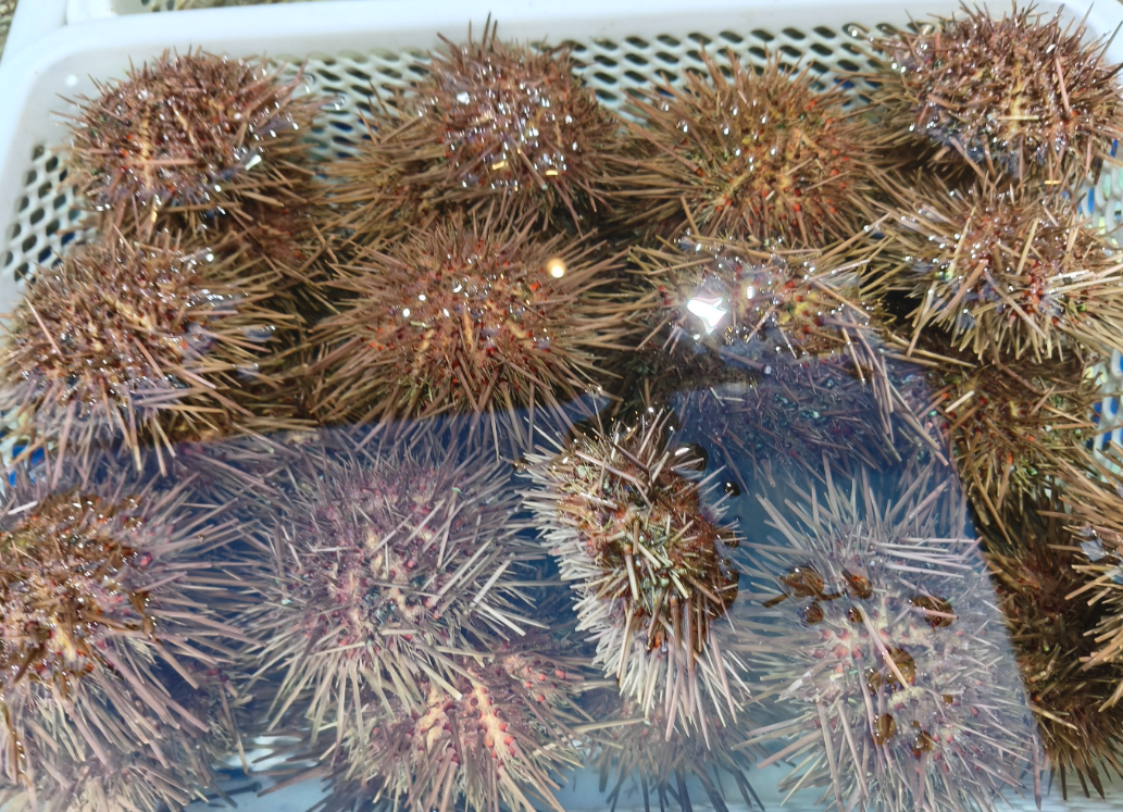 1756197131611157.png wechat_2025-08-21_164324_717.png