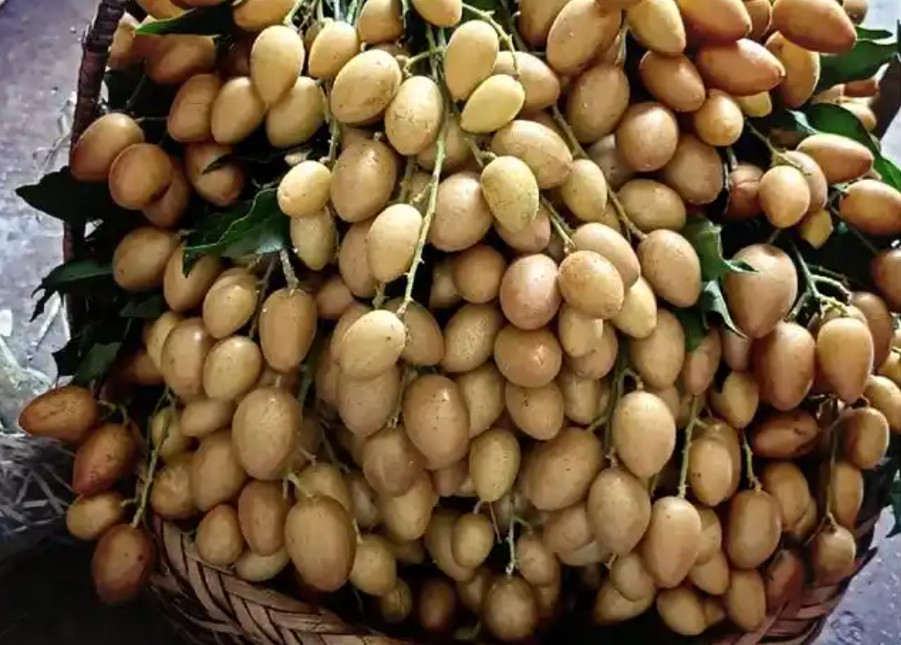 1756364215624194.png wechat_2025-08-27_113812_396.png