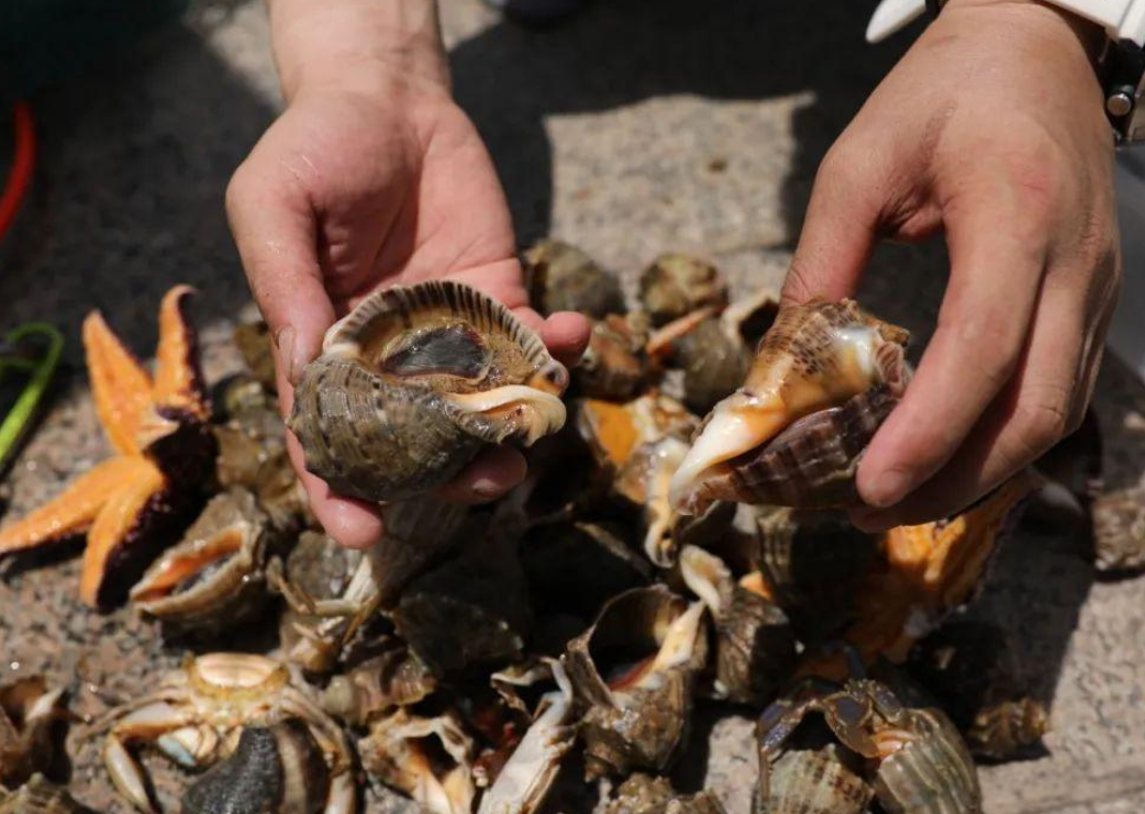 1756457402210034.png wechat_2025-08-29_113401_530.png