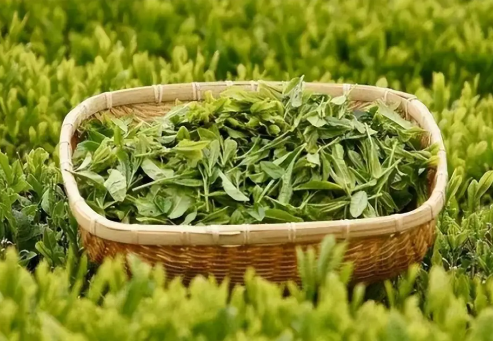 1760518279631699.png wechat_2025-10-11_152809_343.png