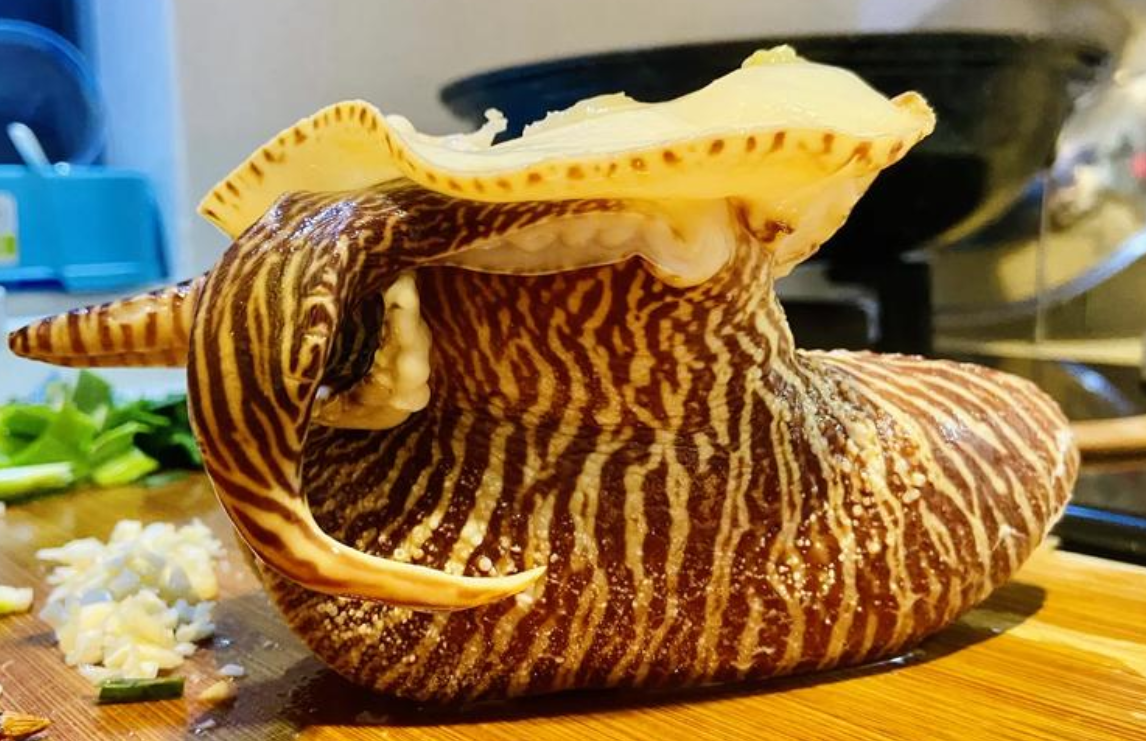 1760772004923111.png wechat_2025-10-16_111500_864.png