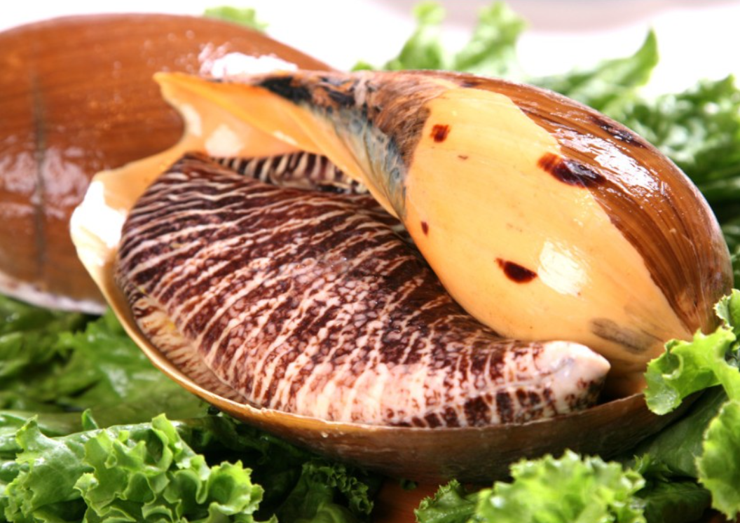 1760772014618534.png wechat_2025-10-16_111429_199.png