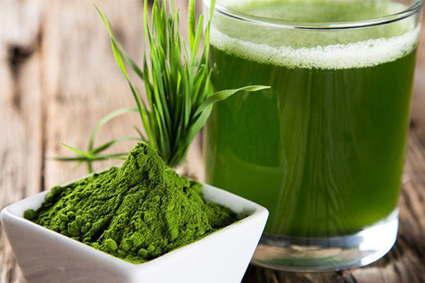 青汁搭配(pèi)純椰子粉