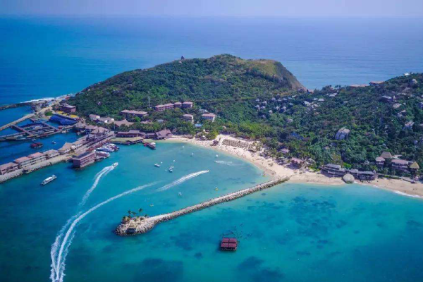 來海南必買(mǎi)的十大(dà)特(tè)產